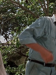 95K views · 2.1K reactions | PT 109 60s_Part 10 Best Naval War Films #navy #war “Before the White House, there was PT 109” |Join us: https://www.facebook.com/groups/2068347963523580 . | War TV Channel | Facebook