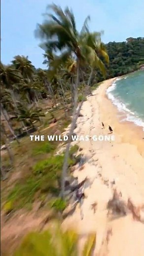 No more wild places? 🇹🇭 KOH CHANG 😍 #kohchang #hiddengems #thailand