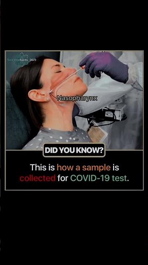 😷🧬 DID YOU KNOW? This Is How a COVID Test Works!