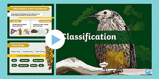 Classification Keys PowerPoint Differentiated Lesson Teaching Pack Teaching Pack
