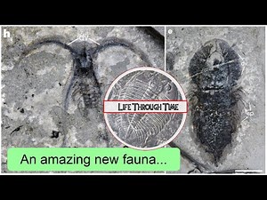 Huayuan Biota: a stunning new Burgess Shale-type fauna, with bonus surprises