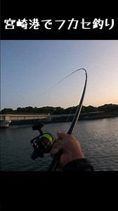 Fukase fishing at Miyazaki Port in late May #fishing #fishing #Miyazaki
