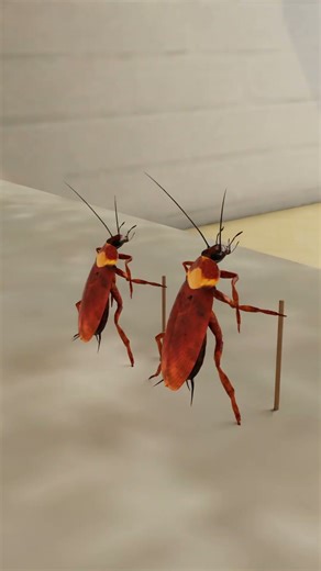 How Cockroach Spray Kill Cockroaches #3d