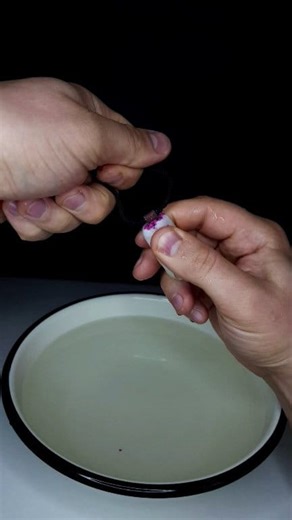 WOW 😱 You'll Want to Repeat This 🔥 Tutorial 😱 | RHCB Experiments