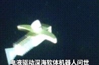 电液驱动深海软体机器人问世，哈尔滨工程大学团队研制，全身软体如鱼，不惧深海压力，可在水下4000米进行探测_腾讯新闻