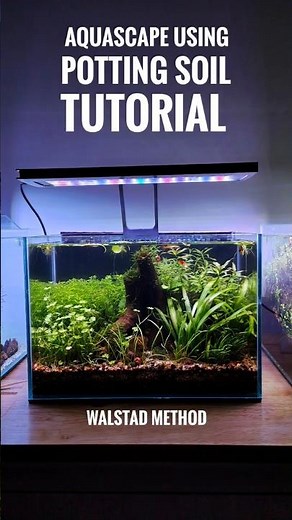 How to create an aquascape using potting soil. No filter, No co2 (Walstad method) #aquarium #walstad