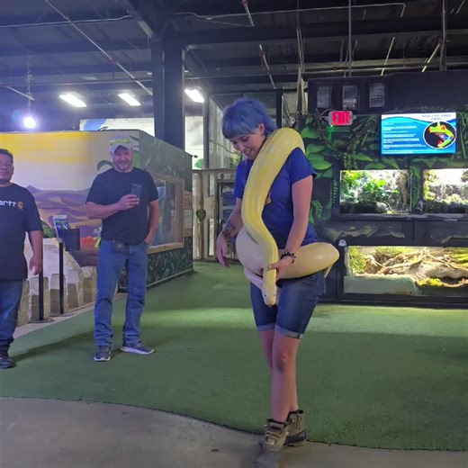 #snake #python #zoo #fyp #aquarium