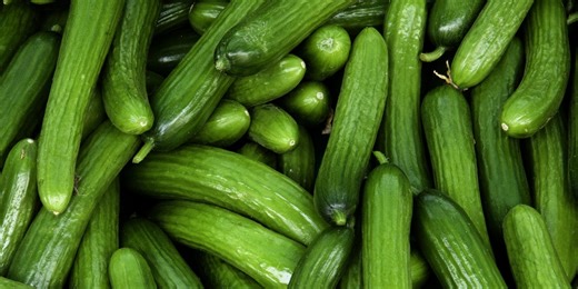 Partes del pene: anatomía, funcionamiento y enfermedades del órgano reproductor masculino