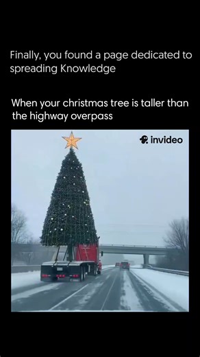 We Spread Knowledge on Instagram: "This footage shows how a single oversight can trigger a dramatic chain reaction in freight transport. An oversized, fully decorated evergreen tree is carried on a flatbed truck without adequate height clearance planning. As the vehicle passes under a concrete overpass, the tree’s top collides violently with the structure, instantly destroying the upper section and scattering debris across the roadway. Beyond the shock value, this incident highlights a critical 