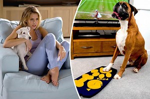 क्या आपके पालतू डॉगी को टीवी देखने का शौक है?