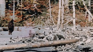 190K views · 2.7K reactions | La famosa grabación conocida como la...