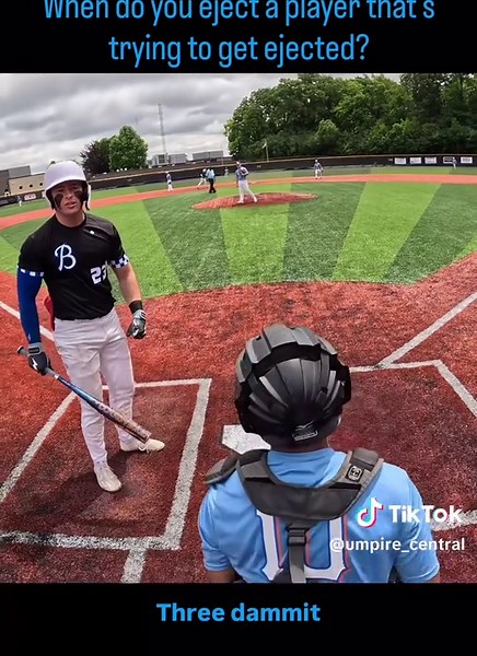 Baseball Umpire Distraction During Call