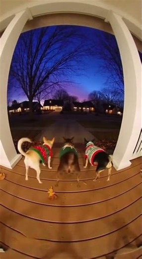 Joyful Dancing at the Twilight Porch