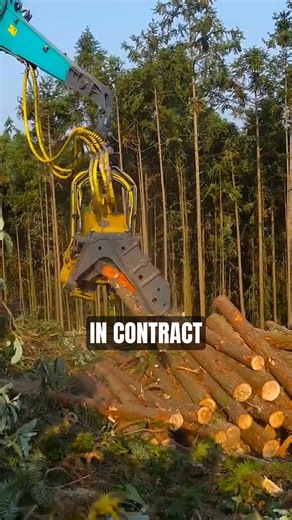 Tree service owners doing $1M annually who are handling over 100 leads a month... There’s only ONE way to get qualified tree removal leads in today’s market... WITHOUT relying on paid advertising, social media, door-knocking, or cold calling. And that’s talking to the homeowner directly, presenting an offer they can’t refuse. Right now there’s only ONE (legal) method that allows you to bypass all the competition and speak directly to the homeowner. Our system is responsible for thousans of high 