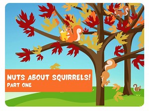 Nuts about Squirrels! Part 1
