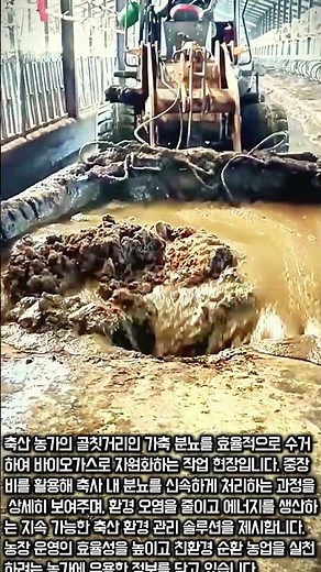 축산 분뇨 처리 효율 높이기 #worker #process #manure #biogas #farming