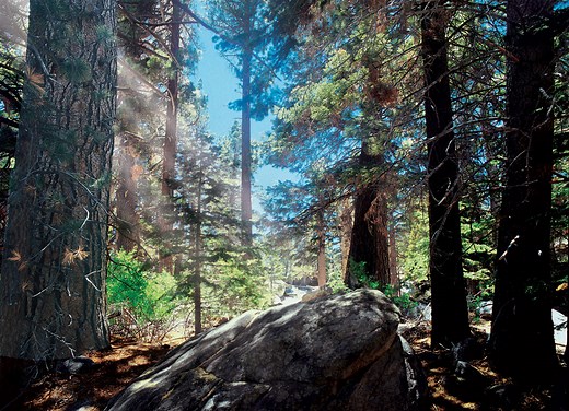 Hiking at the Palm Springs Aerial Tramway