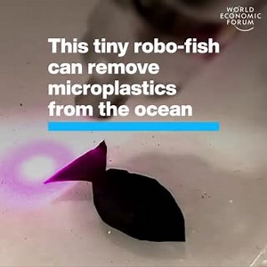 7.7K views · 191 reactions | This robo-fish is helping save our ocean...