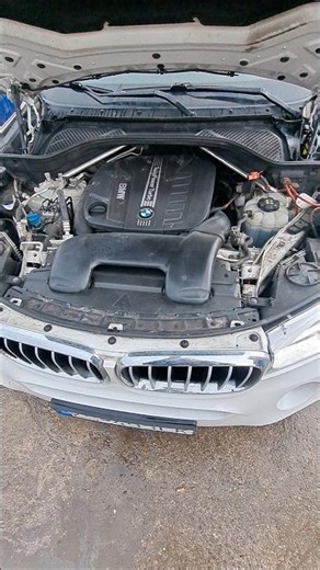 2019 BMW X6 40d TwinTurbo Cold Start Performance