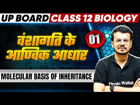 वंशागति के आण्विक आधार ( Molecular basis of inheritance ) | Class 12 Biology