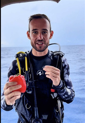 ¿Por qué el color rojo se pierde bajo el agua? Explicación científica