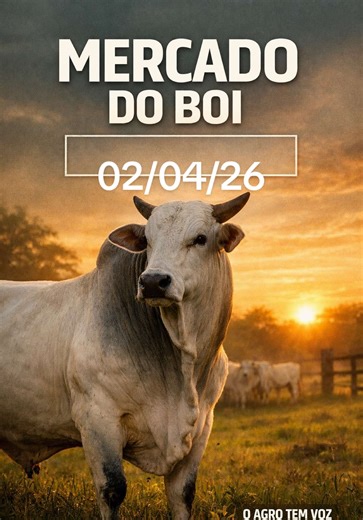 SP Boi: 360,00 Vaca: 325,00 Novilha: 340,00 Escala: 6 dias AC Boi: 295,00 Vaca: 285,00 Novilha: 285,00 Escala: 6 dias AL Boi: 340,00 Vaca: 320,00 Novilha: 330,00 Escala: 6 dias BA Boi: 325,00 Vaca: 300,00 Novilha: 310,00 Escala: 6 dias ES Boi: 320,00 Vaca: 300,00 Novilha: 310,00 Escala: 6 dias GO Boi: 340,00 Vaca: 310,00 Novilha: 320,00 Escala: 6 dias MA Boi: 335,00 Vaca: 305,00 Novilha: 305,00 Escala: 5 dias MG Boi: 340,00 Vaca: 310,00 Novilha: 320,00 Escala: 6 dias MS Boi: 350,00 Vaca: 320,00 