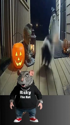 Rickey The Rat with a Skunk