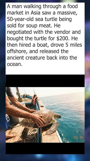 Man Saves Market Turtle