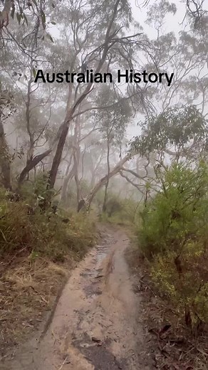 Australian History: Exploring Indigenous Stories and Heritage