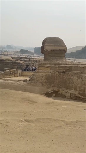 The Sphinx has tail