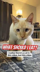 What should I eat for dinner?