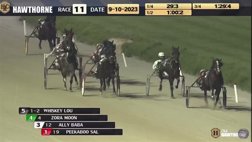 9.8K views · 460 reactions | 賂 ALLY BABA was the runner-up in tonight’s Illinois State Fair Colt Stakes for rookie fillies at Hawthorne Race Course trotting in 1:59.2 with Cordarius Stewart for trainer James Eaton. Congrats to her owners and care team  #ownalittleloveitalot | The Stable | Facebook
