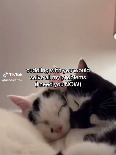 Cuddling: The Ultimate Relationship Solution