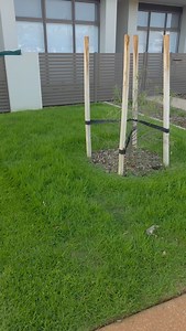 ✂️✨ Double cut for that extra crisp look 🌿 sharp lines, smooth finish, and that next-level tidy result 💎🍀 Service with a Smile 😃 #FrankTheLawnMowerMan #GardenMaintenance #OutdoorServices #BeforeAndAfter #Satisfying | Frank The lawn Mower Man