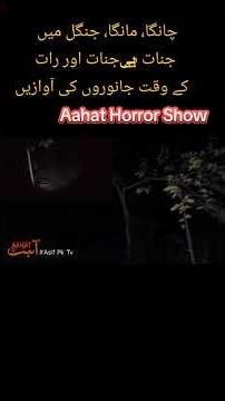 Aahat HorrorShow #horror #horrorstation #ghosthunters #onthisday #jinnatstory #horrorstories #ghost