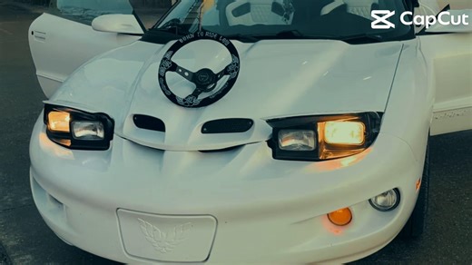The Stunning Aesthetics of Firebird Cars