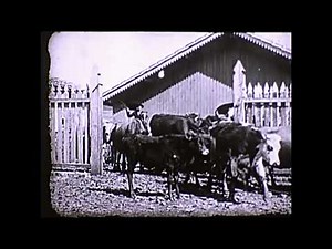 Une Ferme d'Élévage au Brésil / A Livestock Farm in Brazil (1912)