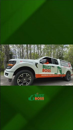 How to get rid of Box Elder Bugs Beetles - Fast & Safe In Canada