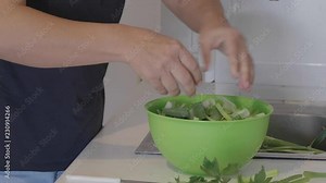 Preparation of Celery Sticks