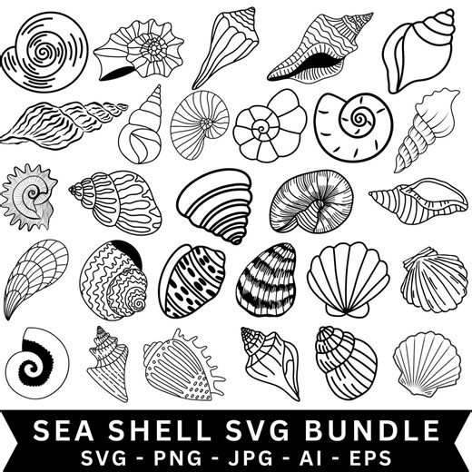 Seashell SVG Bundle: Clipart, Cut Files, Silhouette (digital Download) - Etsy