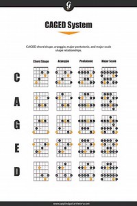 Caged system | Vicpiano