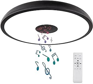 Black Waterproof LED Flush Mount Ceiling Light Fixture,with Bluetooth Speaker,11 Inch,18 watt,Dimmable Music Lamp,RGB Color Changing Light with Remote Control,for Bathroom,Shower,Bedroom