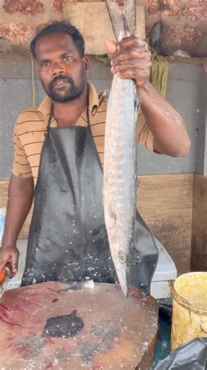 “Sharp knife vs savage barracuda 🔪🐟 Who wins?”