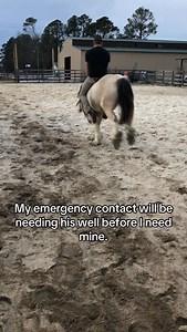 Got to love James and Prize’s silly bromance relationship. 😅 thanks to @elise_hayness for the video! 🩷 #reels #bromance #horse #horses #husband | Footloose Farm