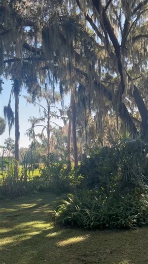 Robert Newman on Reels