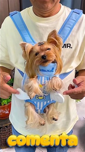 Imagine you're going to get a new bag to carry your dog. Which of these would you choose for him? 😍