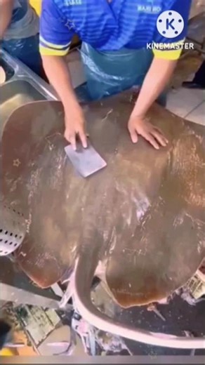 Amazing Stingray Fish Cutting Skills l 😍 l #shorts #viralshorts #fishcutting #stingray