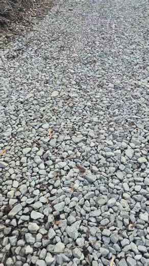 Bobby Smith on Reels