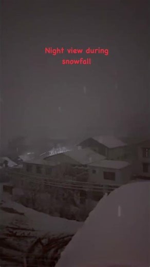 Night view during snowfall