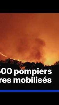 Wildfire in Spain: approximately 3,200 hectares already destroyed since Thursday